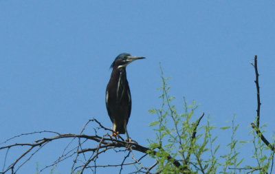 DSC_5450.JPG