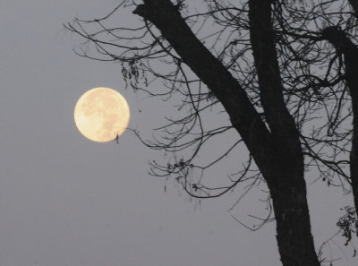 714countymoon12.JPG