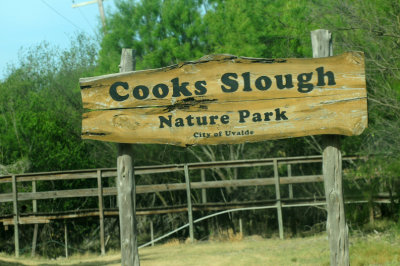 731cook's.sloughJPG