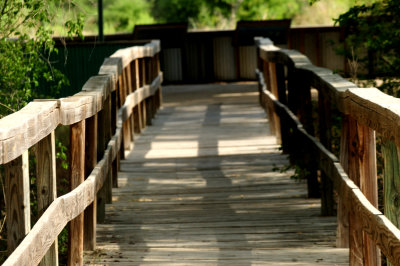731cook'swalkway.JPG