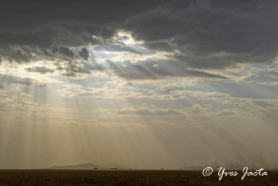 _8005888_DxO.jpg