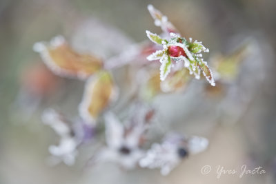 _A7T3732_DxO.jpg