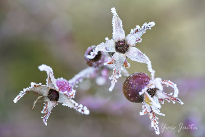 _A7T3751_DxO.jpg