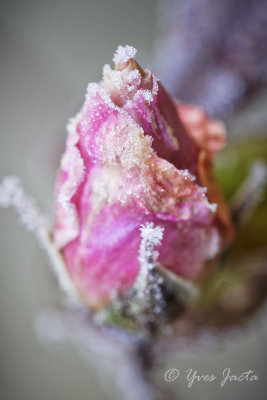 _A7T3783_DxO.jpg