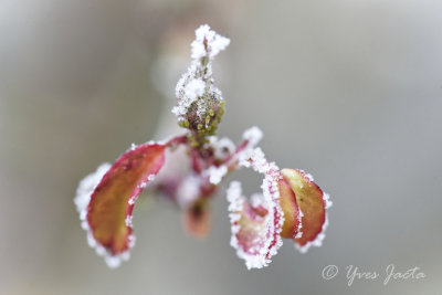 _A7T3788_DxO.jpg