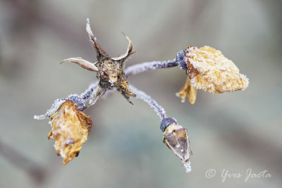 _A7T3795_DxO.jpg