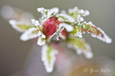 _A7T3837_DxO.jpg