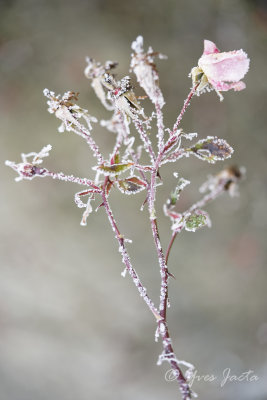 _A7T3927_DxO.jpg