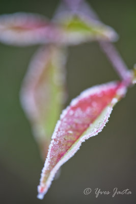 _A7T3769_DxO.jpg