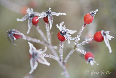 _A7T3875_DxO.jpg