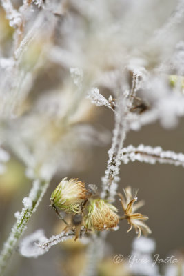 _A7T3903_DxO.jpg
