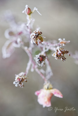 _A7T3891_DxO.jpg