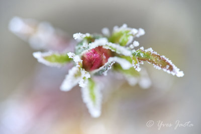 _A7T3735_DxO.jpg