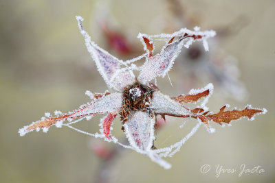 _A7T3863_DxO.jpg