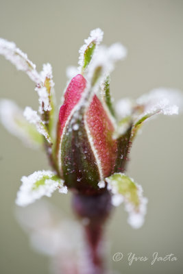 _A7T3836_DxO.jpg