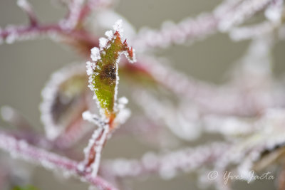 _A7T3935_DxO.jpg