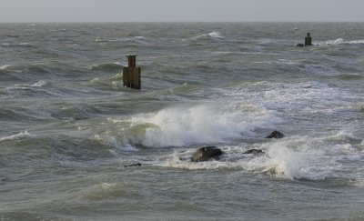 Storm on the Northsea