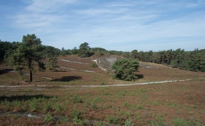 Brunssummerheide