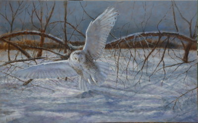 Matin verglacé 30 x 48 po.