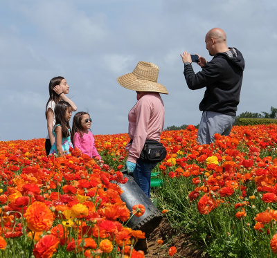 Work and Play in the Flower Fields