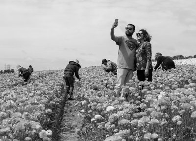 Superman and the Field Workers