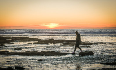 Exploring the Tide Pools