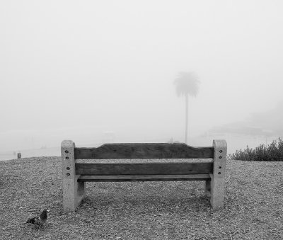 A Foggy Morning at Moonlight Beach