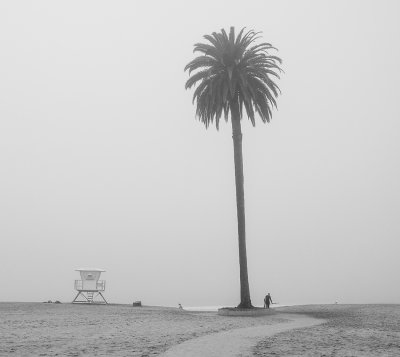 A Foggy Morning at Moonlight Beach
