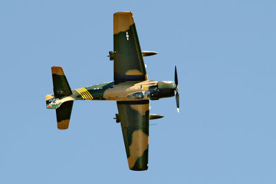 Douglas SkyRaider