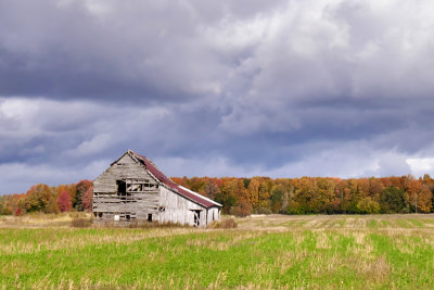 This Old Barn