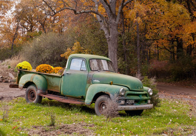 Old Chevy Pickup