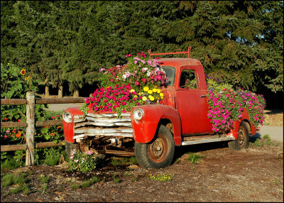 flower_truck_01_0314.jpg