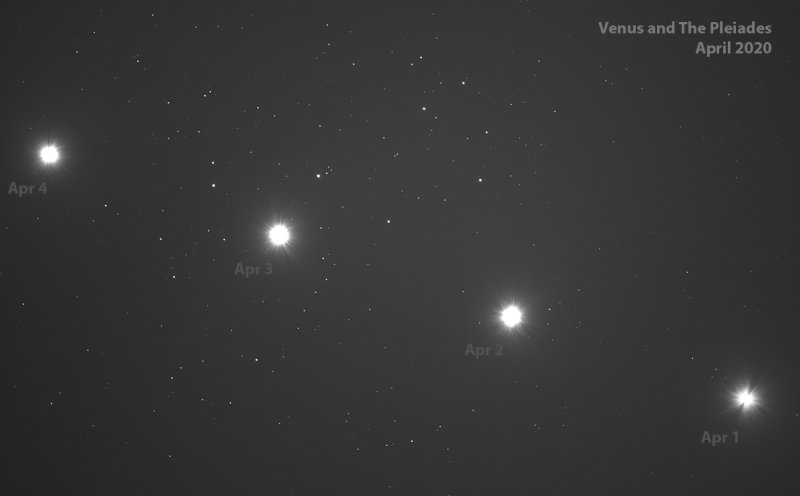 Venus Passing the Pleiades - 4 Nights