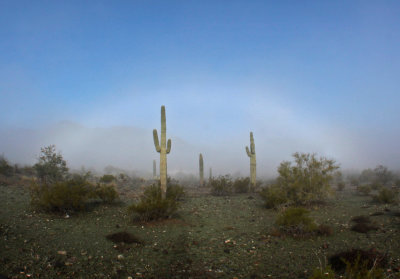 Fogbow, South Mountain, AZ, 2015