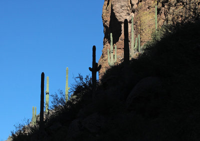 Apache Trail, AZ, 2013