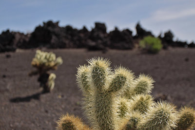 Pinacate, Mexico, 2014