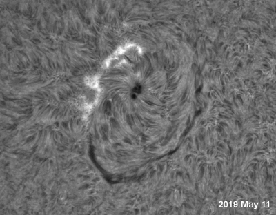 Solar activity -- 2019 May 13