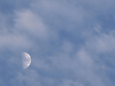 First Quarter Moon Dodging Clouds
