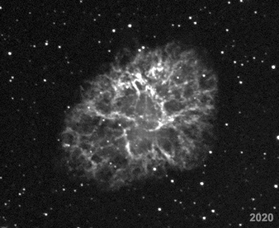 Crab Nebula's Growth in 37 Years