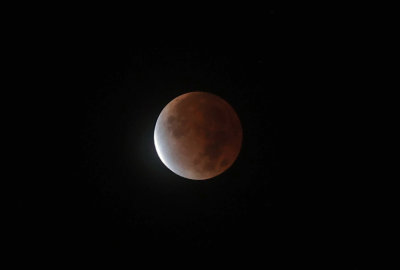 Total Lunar Eclipse -- November 19, 2021