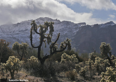 Snow in Superstition Mountains