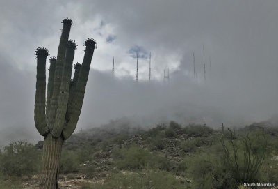 Rare fog in July, South Mountain