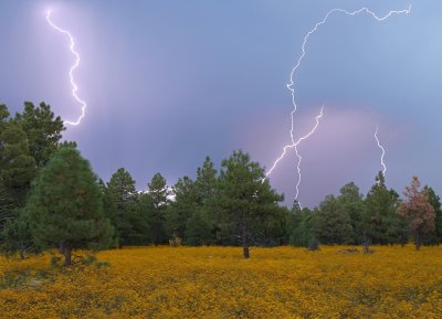 Multiple exposure of lightning strikes at Anderson Mesa