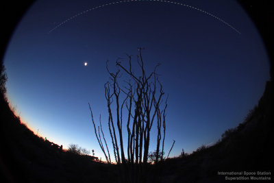 International Space Station above an ocotillo