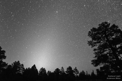 Zodiacal light standing nearly vertically before dawn