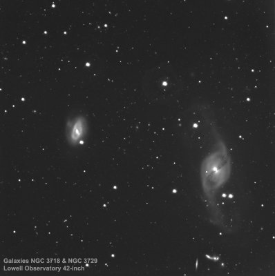 Pair of barred spiral galaxies