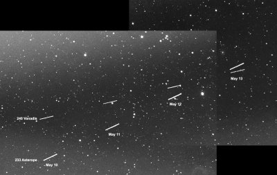 Asteroids 233 Asterope and 240 Vanadis: 2022 May 10-13.jpg