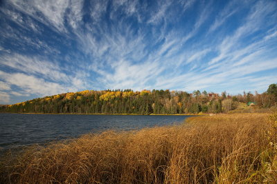 Fall Skyline