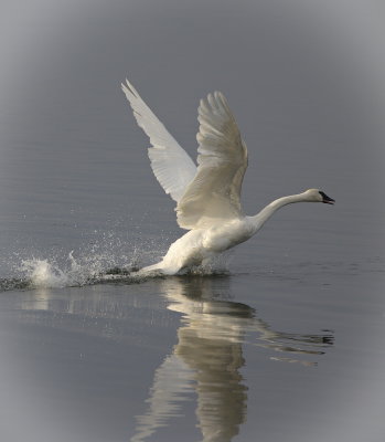 Take Off