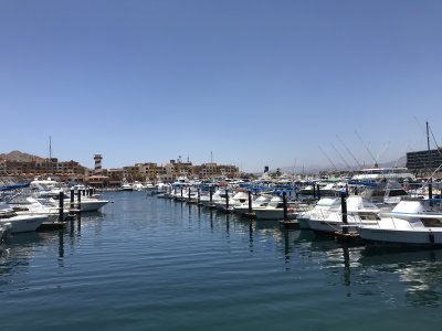 The famous Cabo Marina